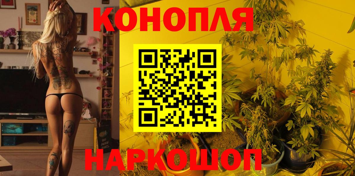 Бошки марихуана гибрид  Бошки марихуана AK-47  Вход с VPN  МАРИХУАНА конопля  Михайловка 